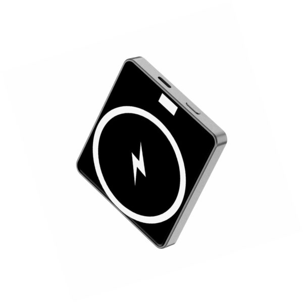 Batterie-externe-BFuller-100000mAh-1